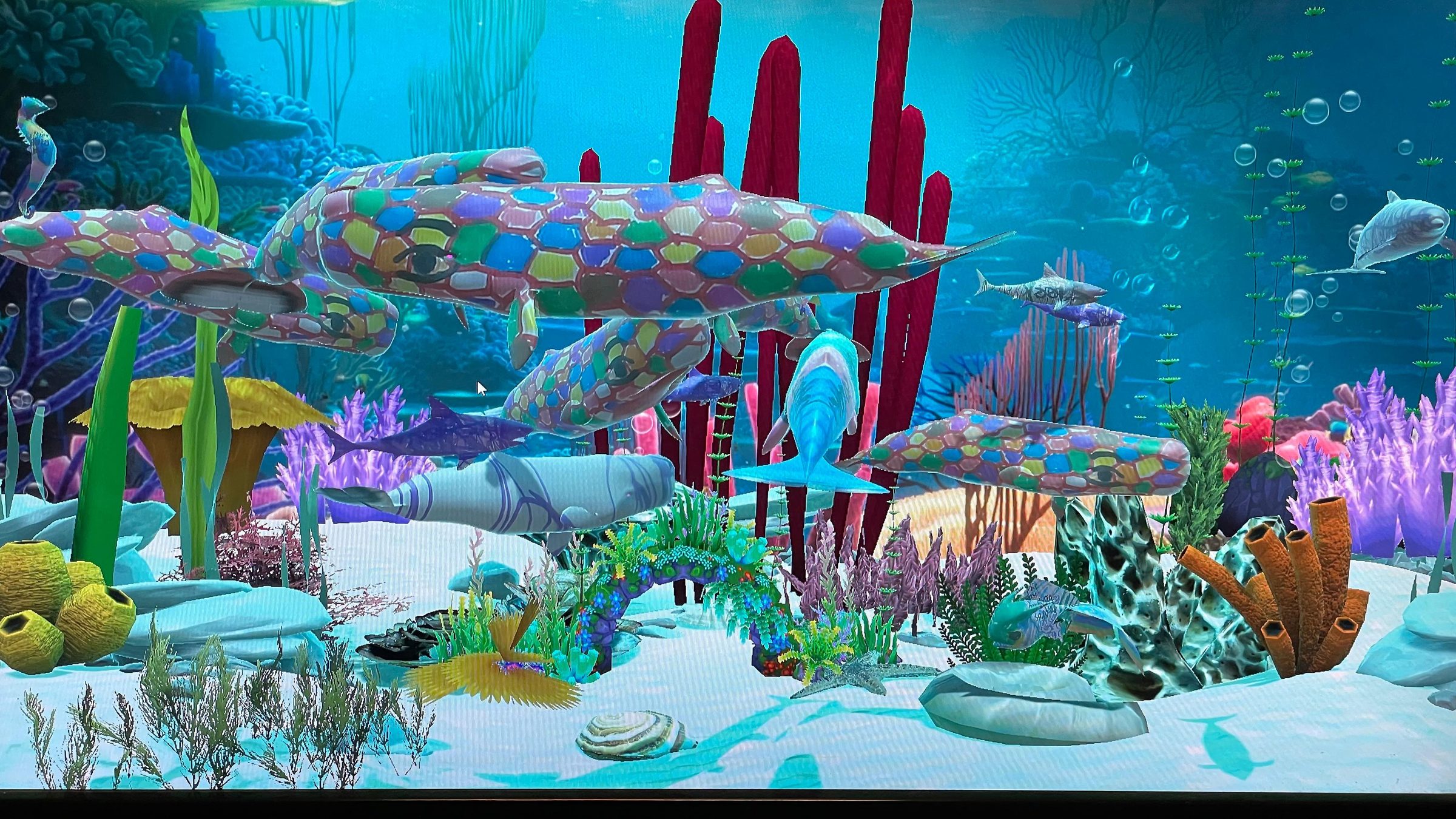 Sydney Children's Hospital interactive aquarium, projected marine life.